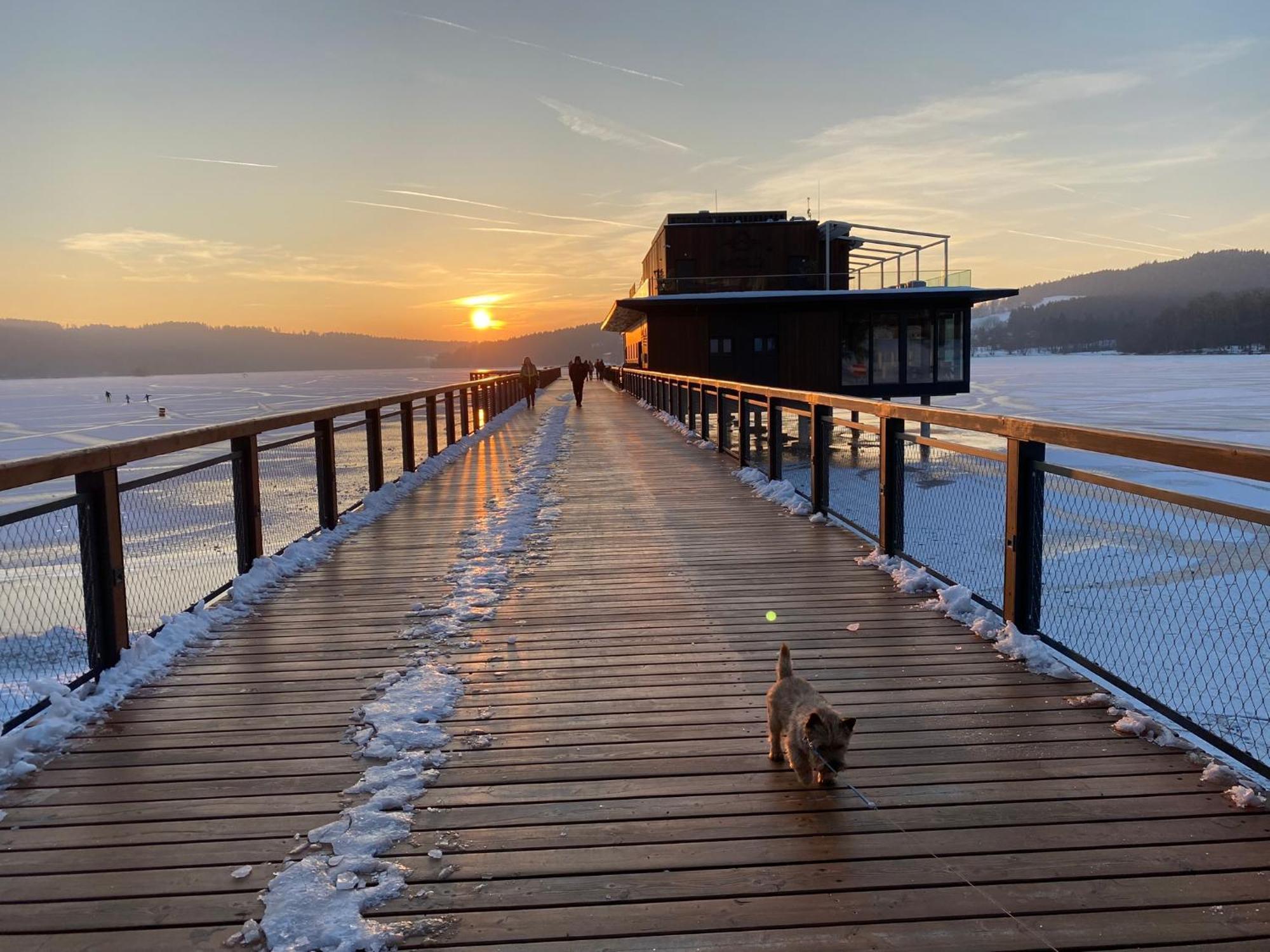 Apartman Verca Riviera Lipno 510 Lipno nad Vltavou Eksteriør billede