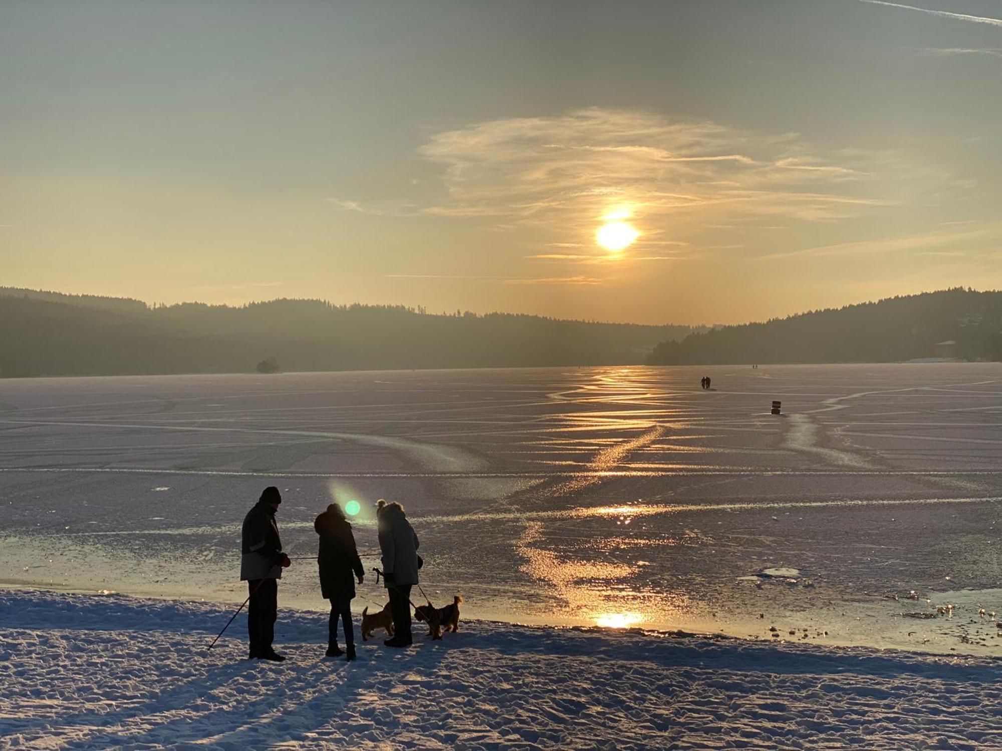 Apartman Verca Riviera Lipno 510 Lipno nad Vltavou Eksteriør billede