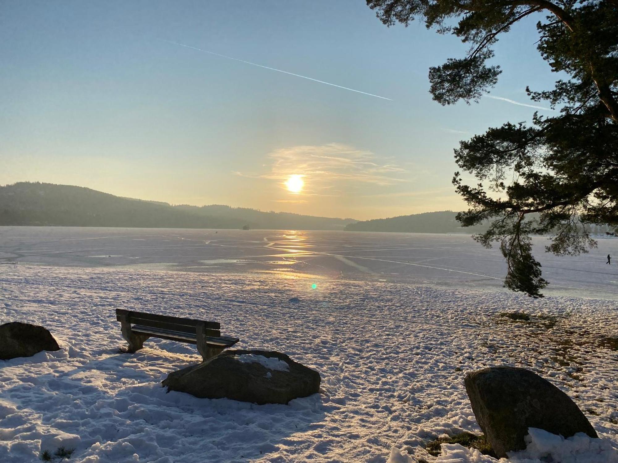 Apartman Verca Riviera Lipno 510 Lipno nad Vltavou Eksteriør billede