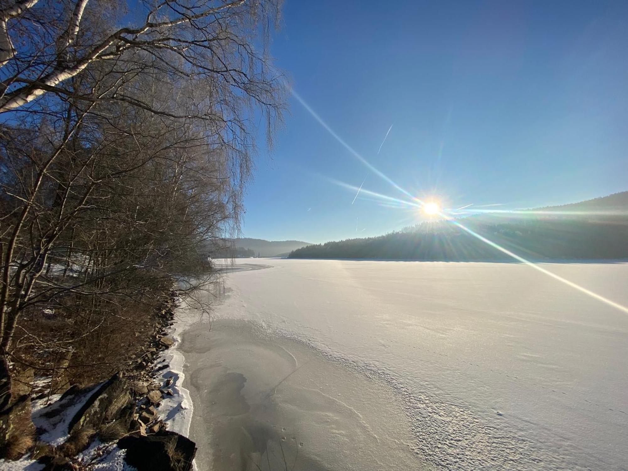 Apartman Verca Riviera Lipno 510 Lipno nad Vltavou Eksteriør billede