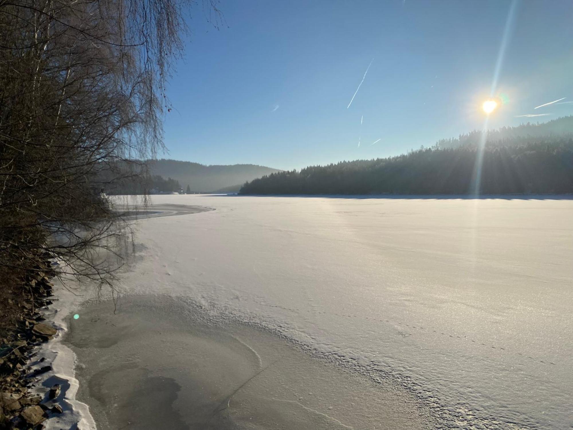 Apartman Verca Riviera Lipno 510 Lipno nad Vltavou Eksteriør billede