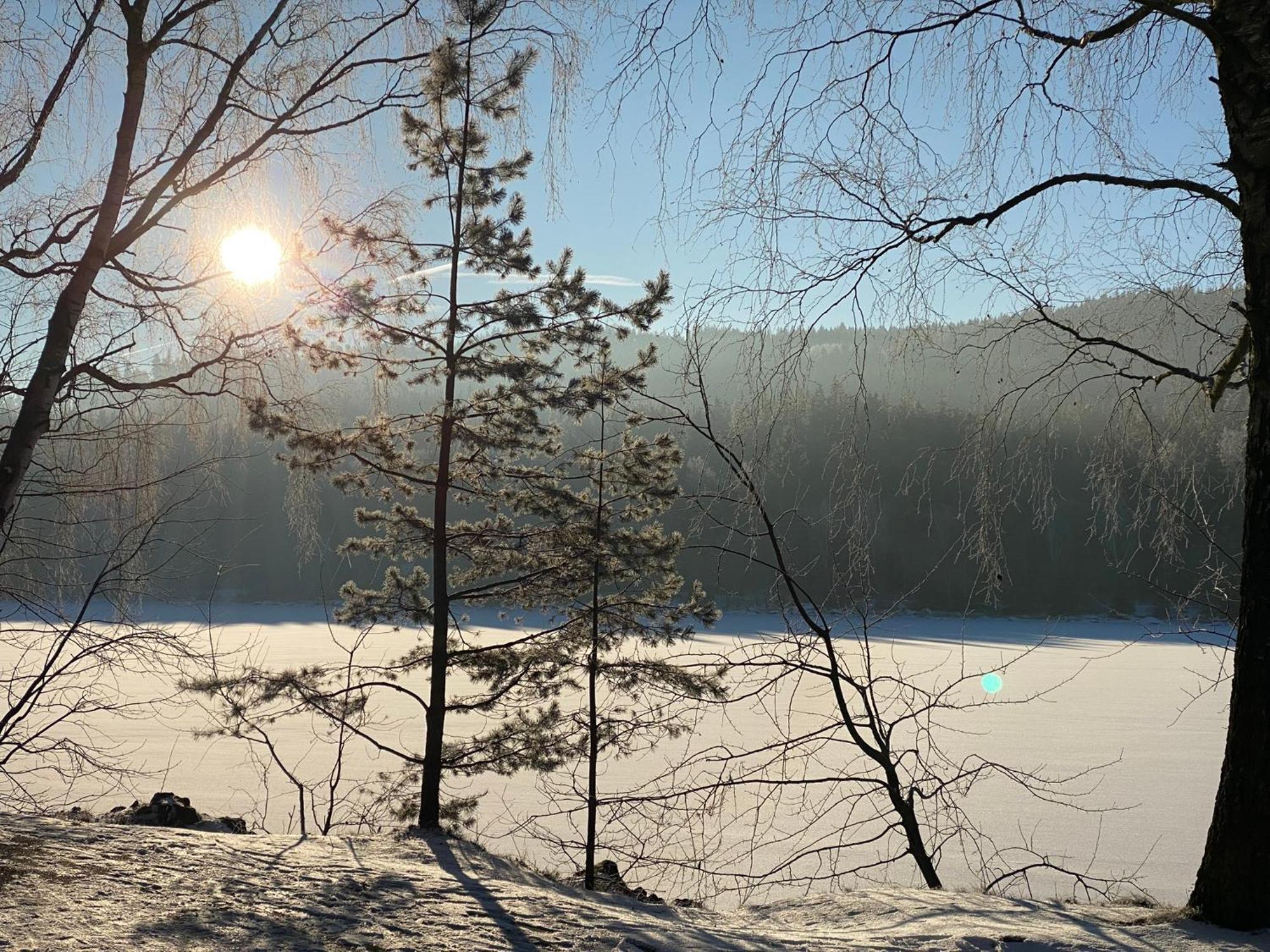 Apartman Verca Riviera Lipno 510 Lipno nad Vltavou Eksteriør billede